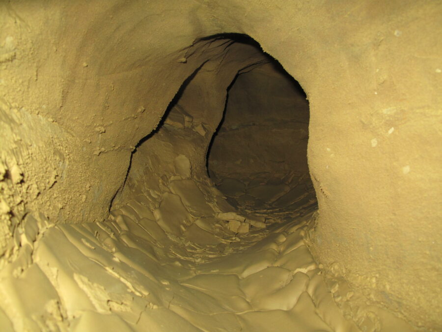 Écosystèmes souterrains