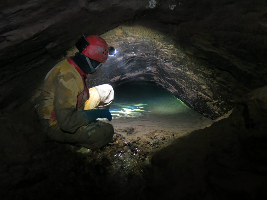 Écosystèmes souterrains