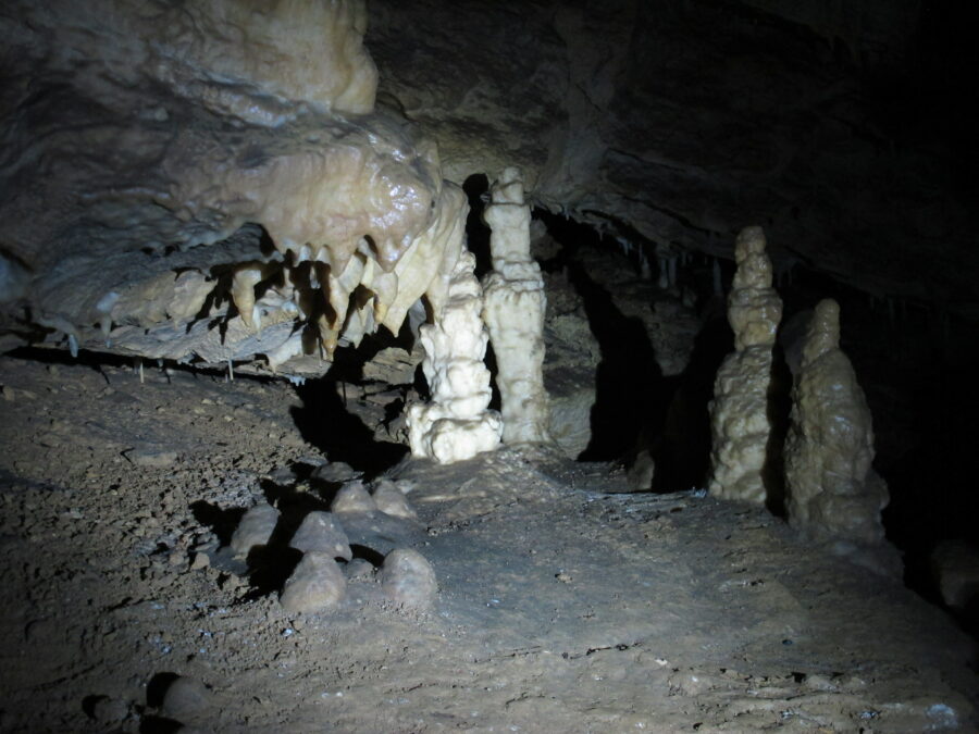 Écosystèmes souterrains