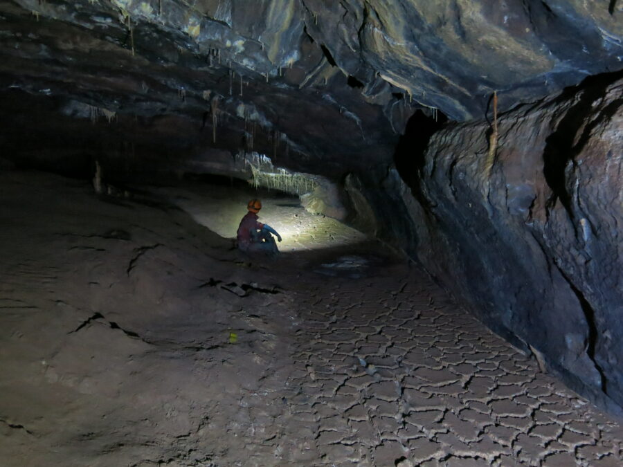 Écosystèmes souterrains